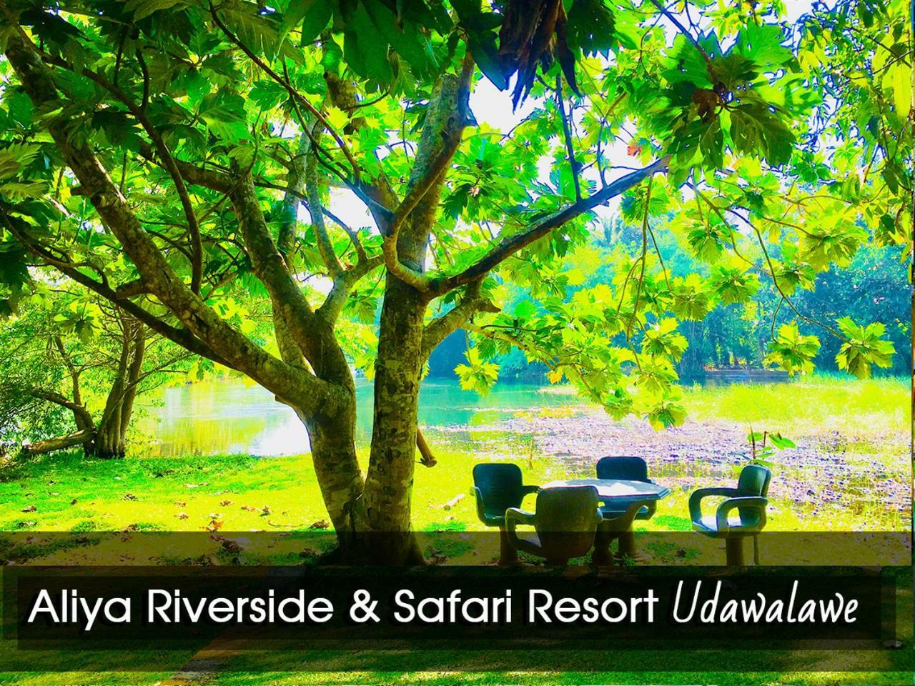 Aliya Riverside & Safari Resort Udawalawe Zewnętrze zdjęcie