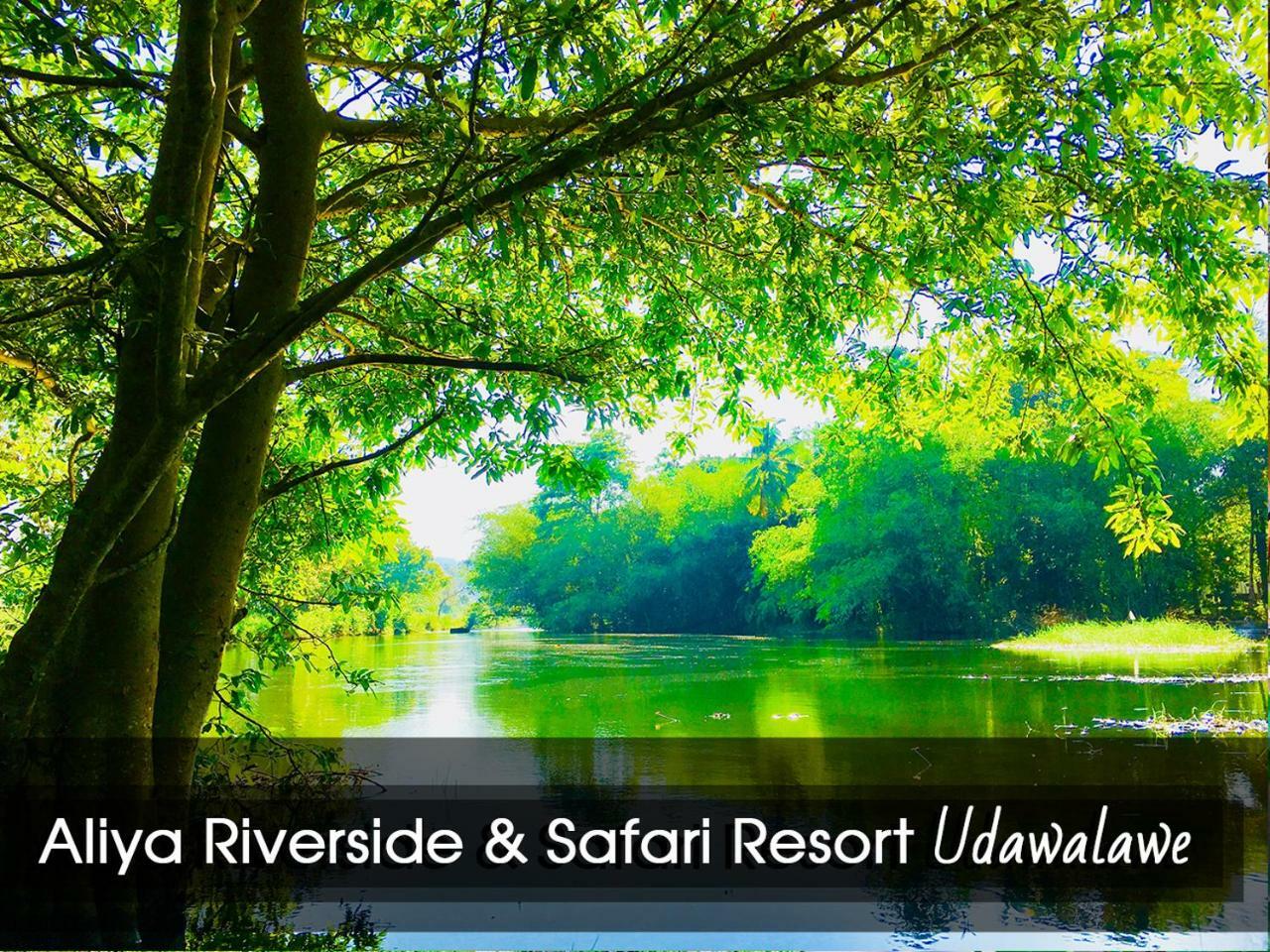 Aliya Riverside & Safari Resort Udawalawe Zewnętrze zdjęcie