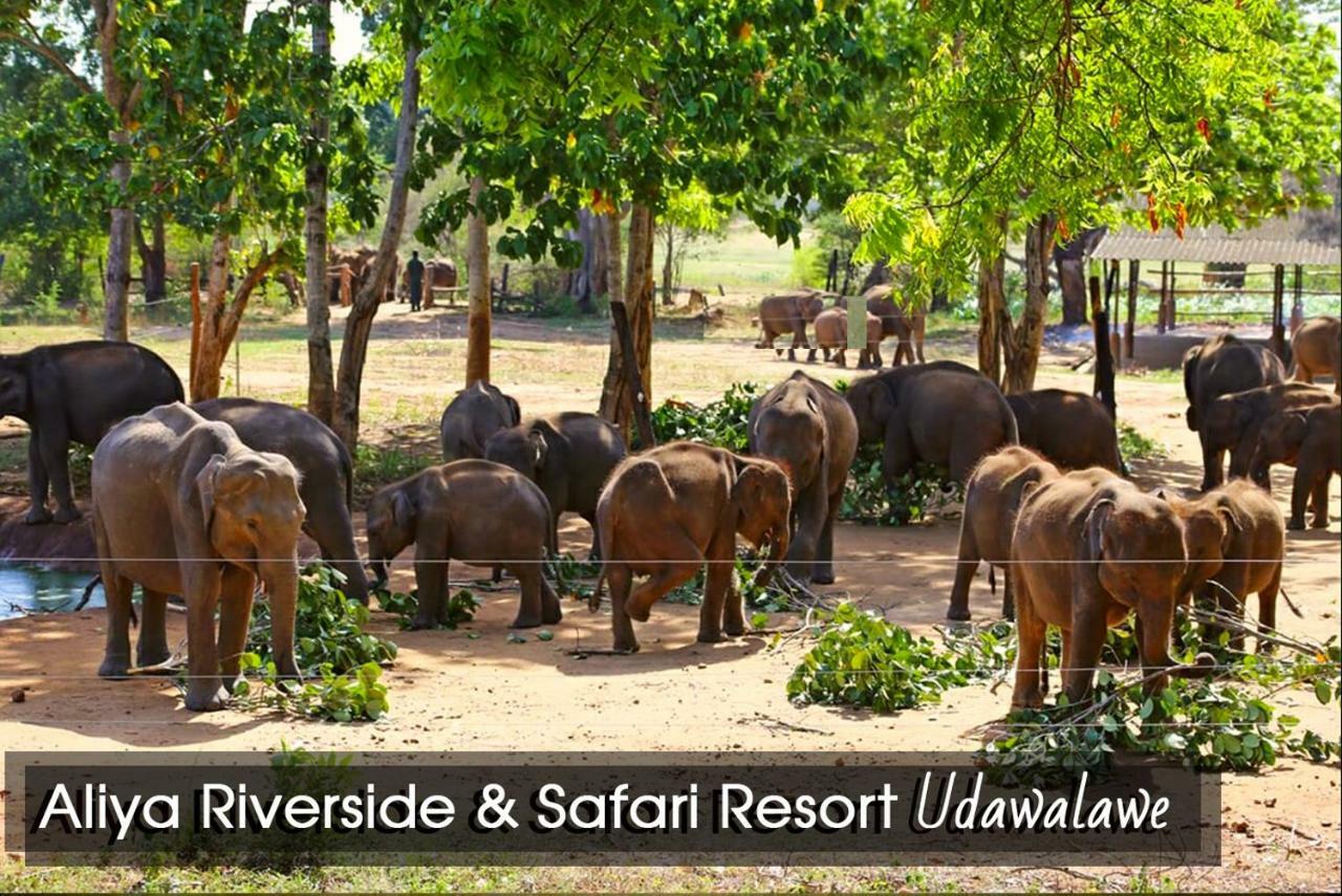 Aliya Riverside & Safari Resort Udawalawe Zewnętrze zdjęcie