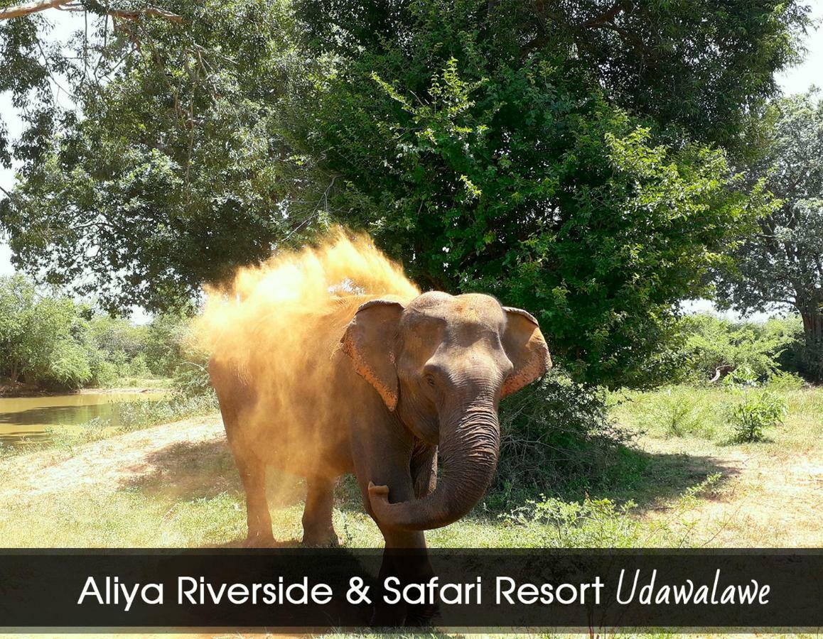 Aliya Riverside & Safari Resort Udawalawe Zewnętrze zdjęcie