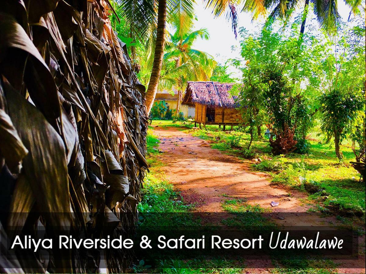 Aliya Riverside & Safari Resort Udawalawe Zewnętrze zdjęcie